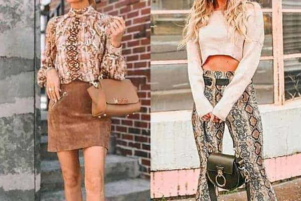 what colors go with snakeskin