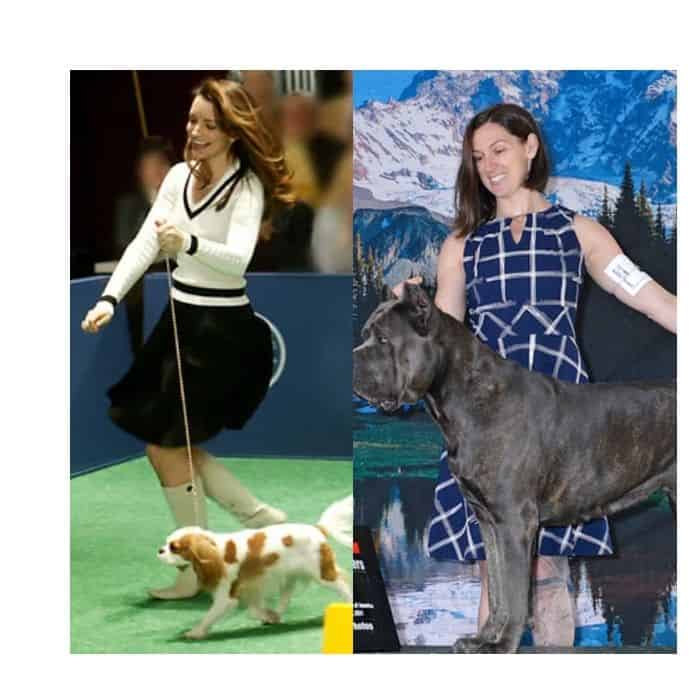 What to wear to dog show as dog handler?