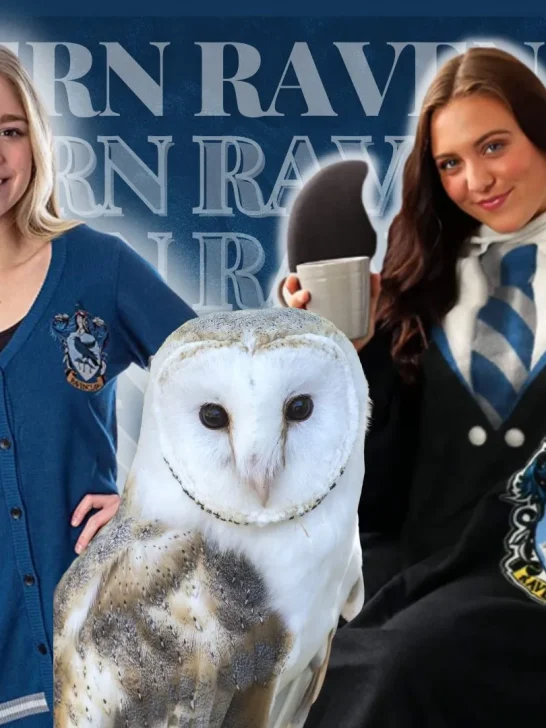 *2026* Ravenclaw-inspired outfit (Real-life 12 looks!)