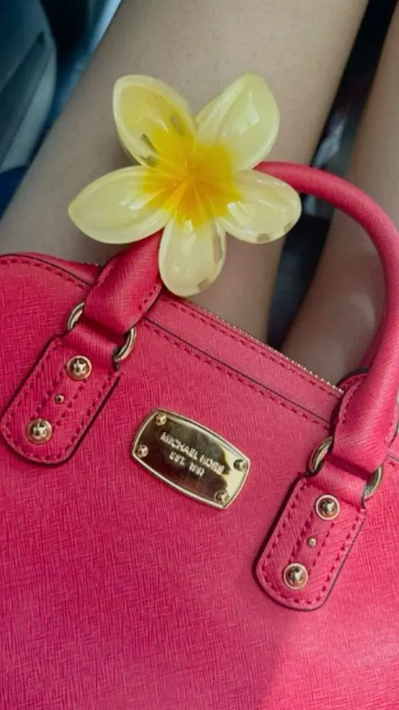 hawaii hair clip with bag