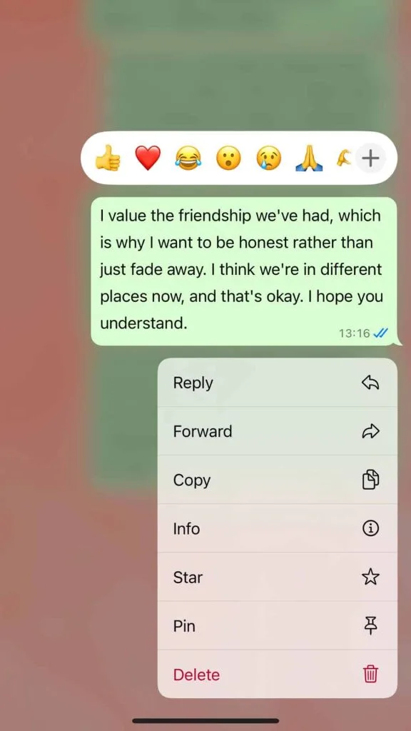 How to break up with a friend nicely msg