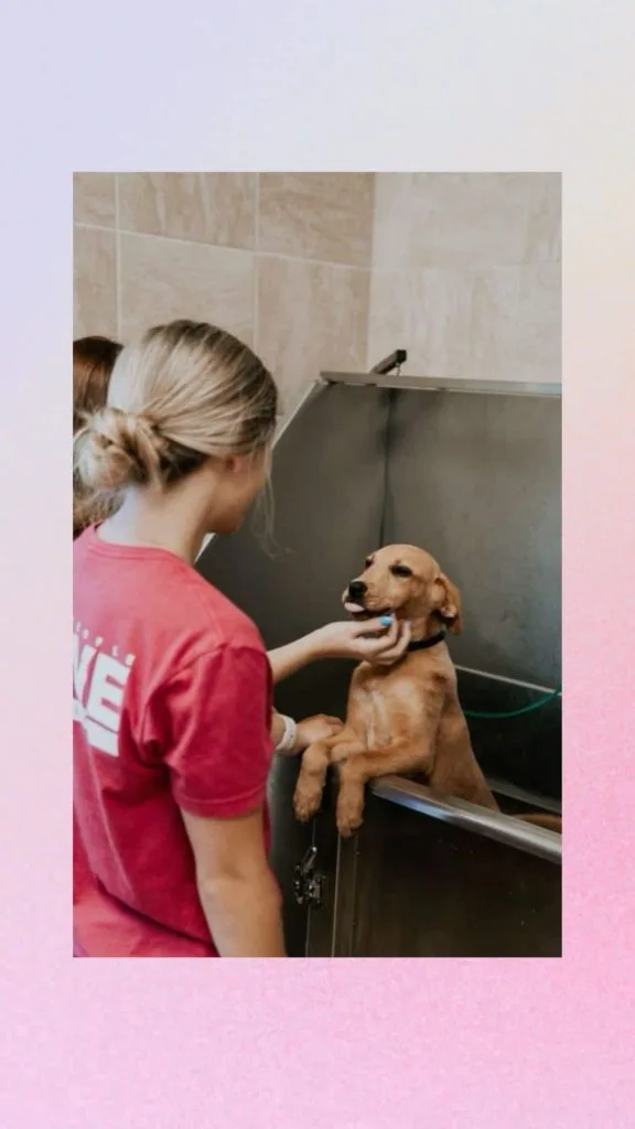 volunteering at an animal shelter outfit ideas