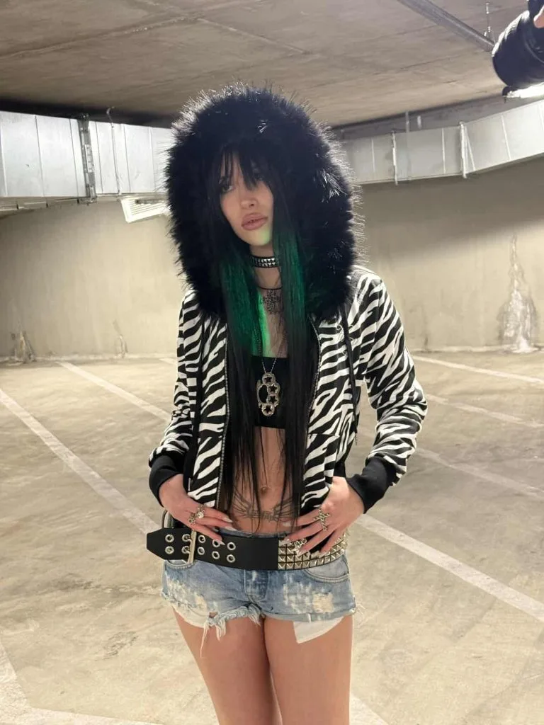 Zebra Print Outfits Y2K hoodie