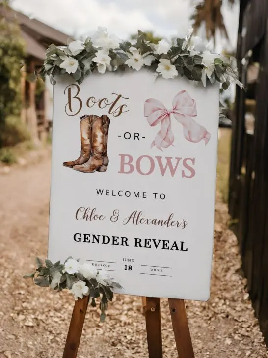 Gender Reveal Party Theme