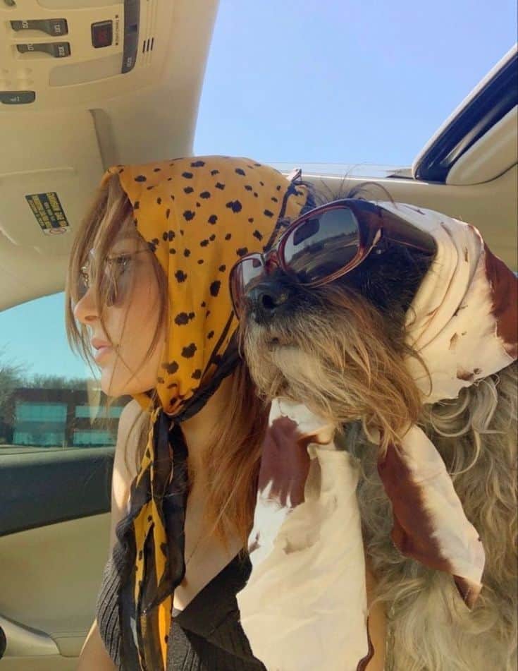 bandana GIFT for a dog